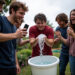 Origins and Evolution of the Ice Bucket Challenge